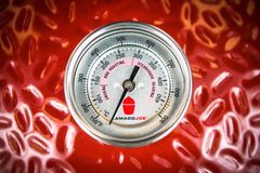 Kamado joe classic III